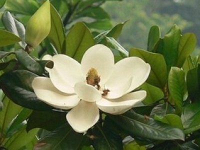 電動(dòng)晾衣架